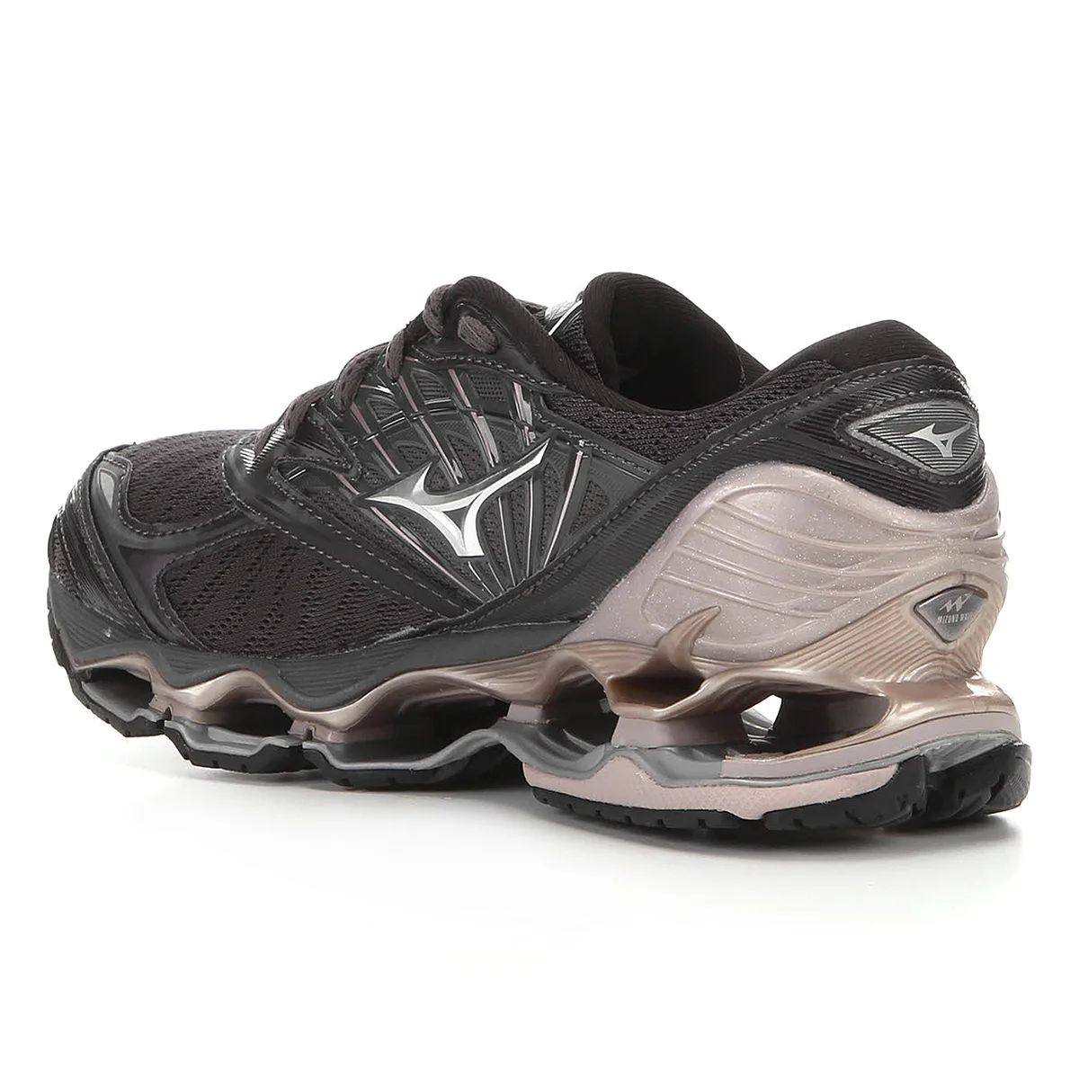 Mizuno prophecy 8